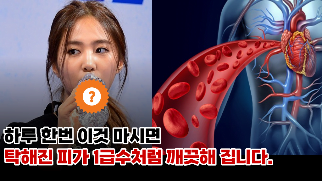 더러워진 피가 ‘이것’ 하나로 깨끗하게 정화 됩니다.