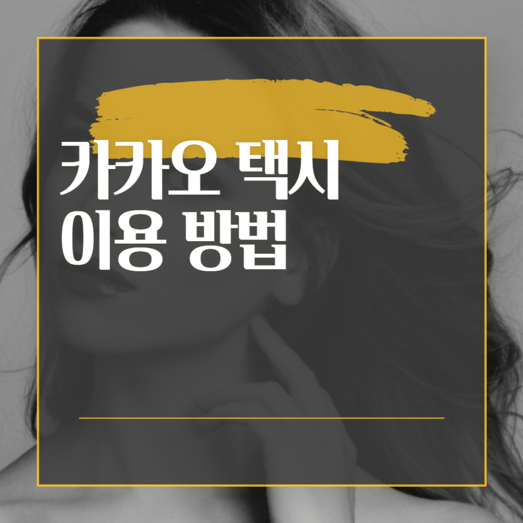 카카오 택시 사용법