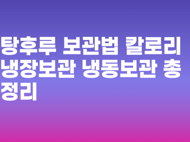 탕후루 보관법 칼로리 냉장보관 냉동보관 총정리