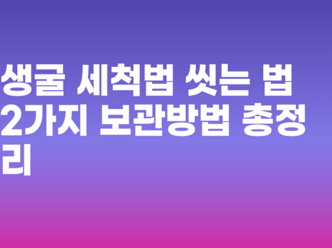 생굴 세척법 씻는 법 2가지 보관방법 총정리