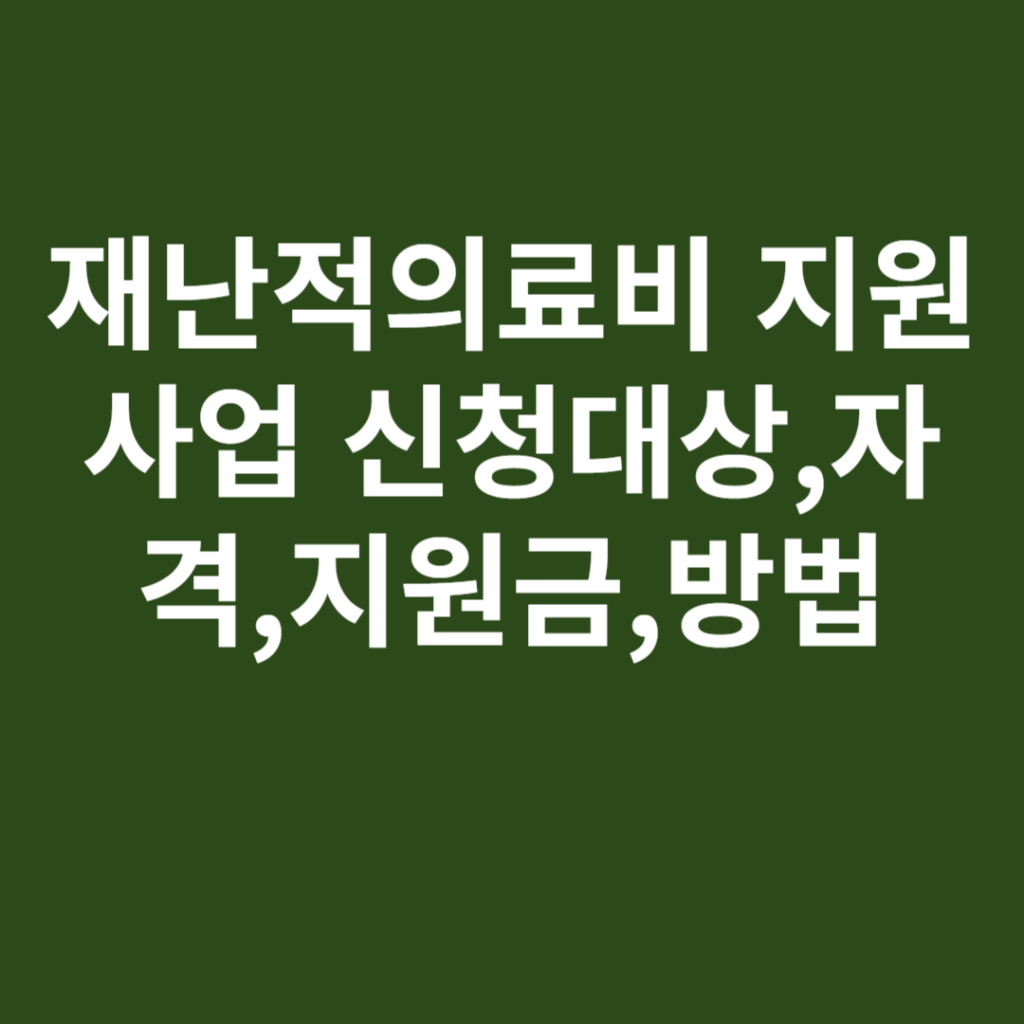 재난적의료비 지원사업 신청대상,자격,지원금,방법