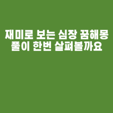 심장 꿈해몽 심장 꿈 풀이 심장 꿈해몽 심장 꿈 풀이