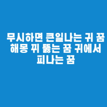 무시하면 큰일나는 귀 꿈해몽 뀌 뚫는 꿈 귀에서 피나는 꿈