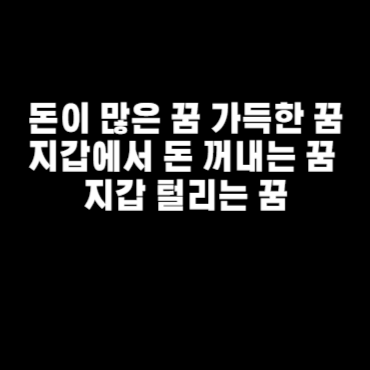 돈이 많은 꿈 가득한 꿈 지갑에서 돈 꺼내는 꿈 지갑 털리는 꿈