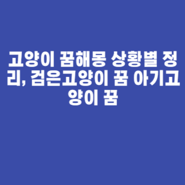 고양이 꿈해몽 상황별 정리, 검은고양이 꿈 아기고양이 꿈 고양이 꿈해몽 상황별 정리, 검은고양이 꿈 아기고양이 꿈