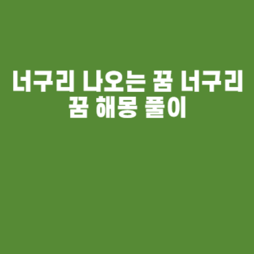 너구리 나오는 꿈 너구리꿈 해몽 풀이