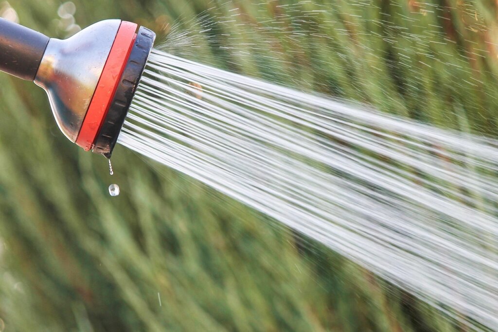 shower head soaking in vinegar water bowl