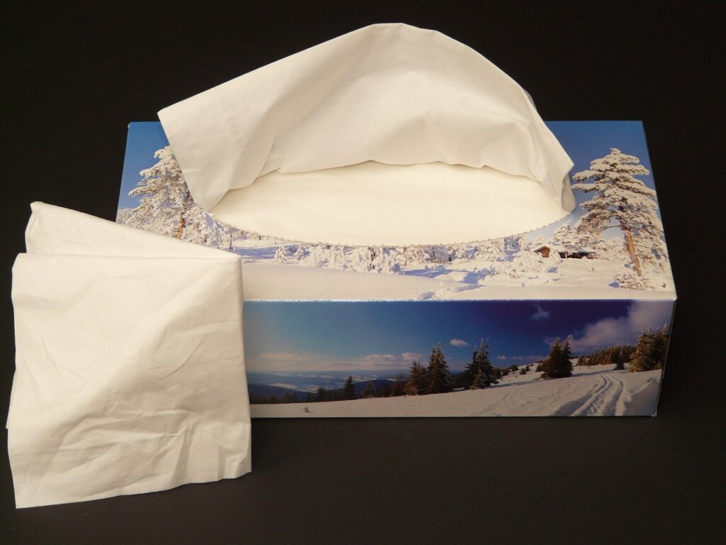 blotting carpet stain with paper towel
