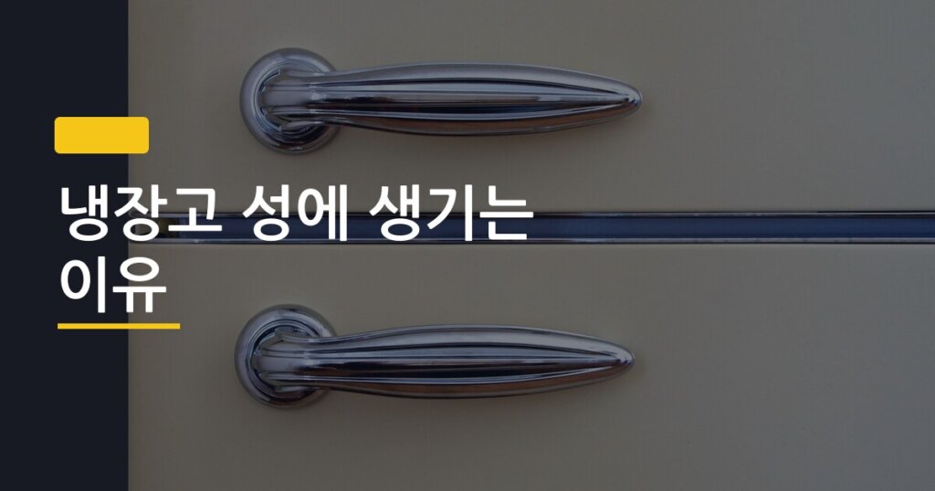 냉장고 성에 생기는 이유, 방치하면 전기요금 30% 더 나온다는 게 사실일까