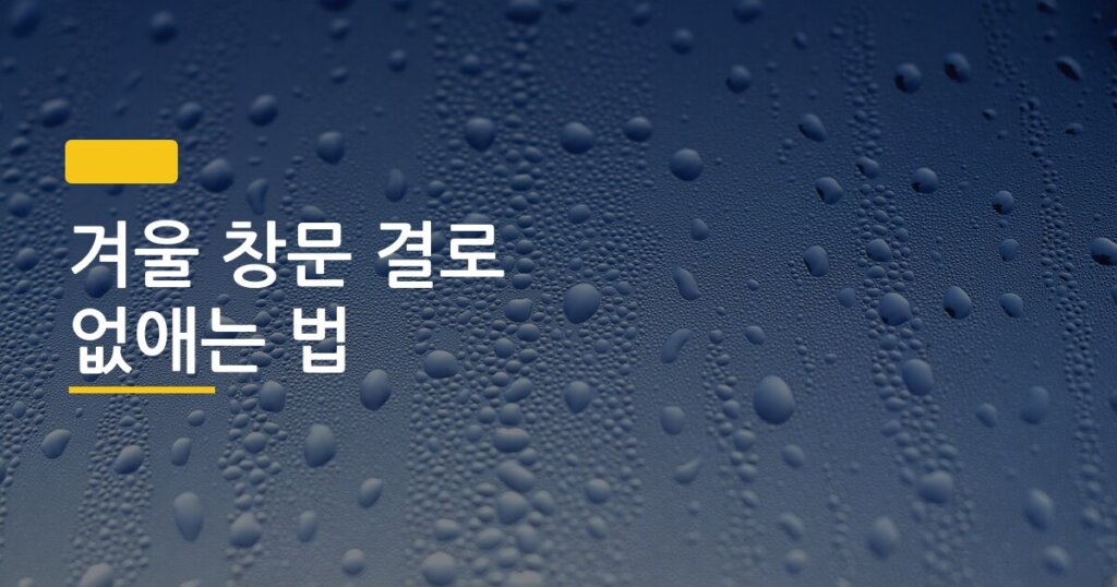 겨울 창문 결로 없애는 법, 직접 써보고 효과 있었던 것만 솔직하게 정리했다