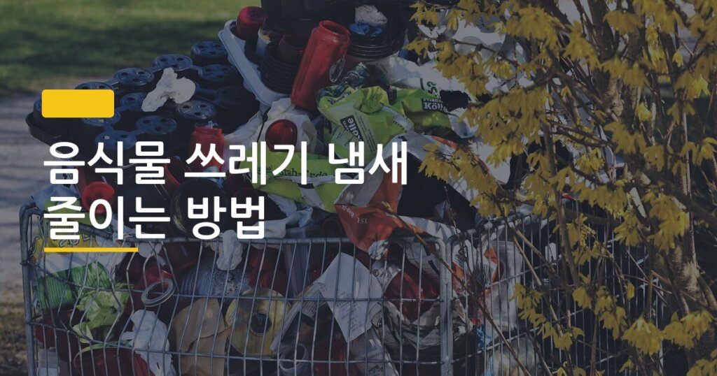 음식물 쓰레기 냄새 줄이는 방법, 여름에도 냄새 없이 사는 집의 5가지 비밀