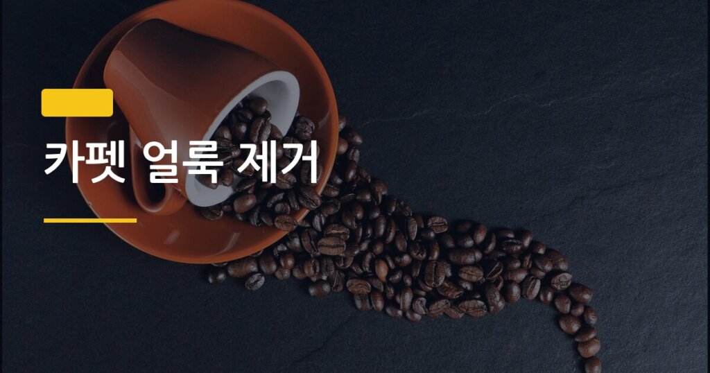 카펫 얼룩 제거, 음료 엎질렀을 때 처음 60초가 모든 걸 결정한다
