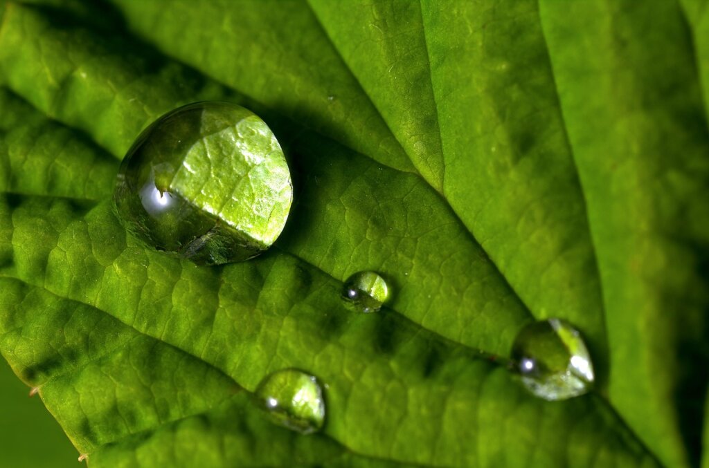 silica gel dehumidifier packet close-up with water droplets