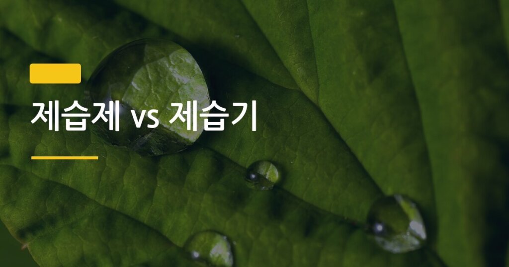 제습제 vs 제습기, 집 안 습도 조절 어떤 게 진짜 돈 되는 선택일까