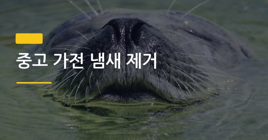 중고 가전 냄새 제거, 첫 번째로 해야 할 게 따로 있다는 걸 아는 사람이 없었다