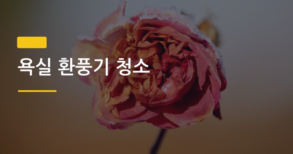 욕실 환풍기 청소, 분해 없이 5분 만에 먼지 싹 없애는 법