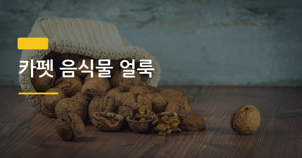 카펫 음식물 얼룩, 5분 안에 지우는 응급 처치법 5가지
