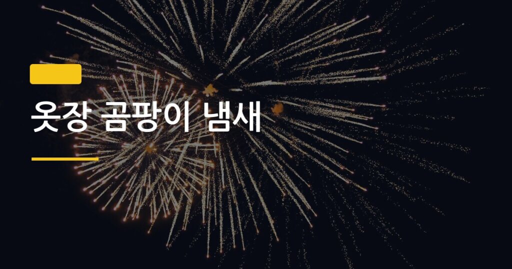옷장 곰팡이 냄새, 원인 모르면 청소해도 3일 만에 다시 난다