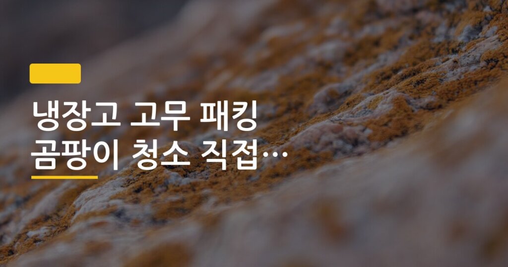 냉장고 고무 패킹 곰팡이 청소 직접 해본 후기