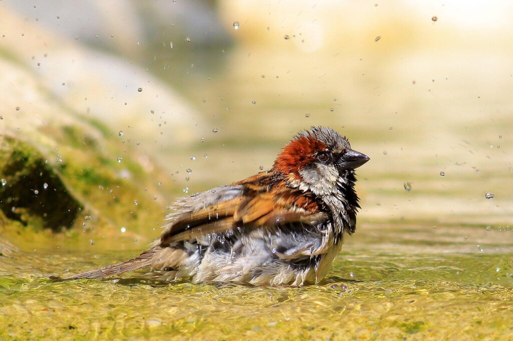bathroom ventilation fan running after shower with steam