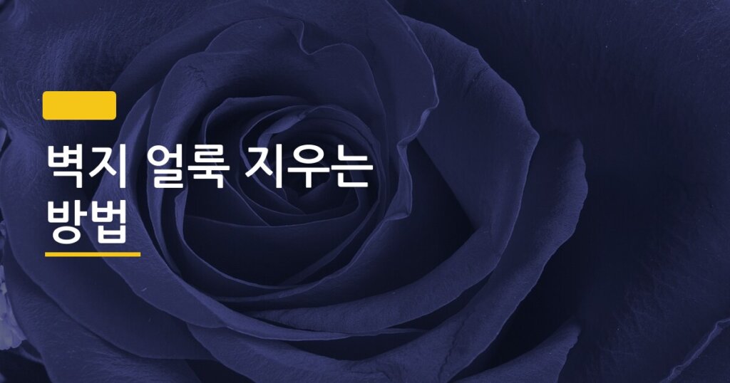 벽지 얼룩 지우는 방법, 자국 종류별로 다르게 써야 하는 이유