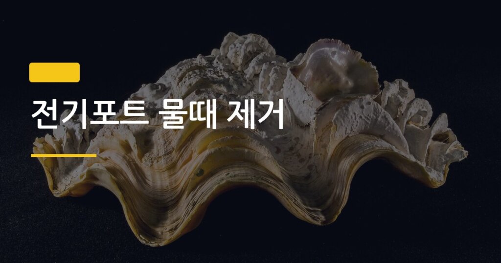 전기포트 물때 제거, 구연산 하나로 깔끔하게 없애는 방법