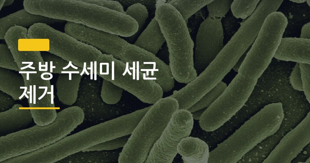 주방 수세미 세균 제거, 방법별 효과 비교하니 이게 진짜 답이었다