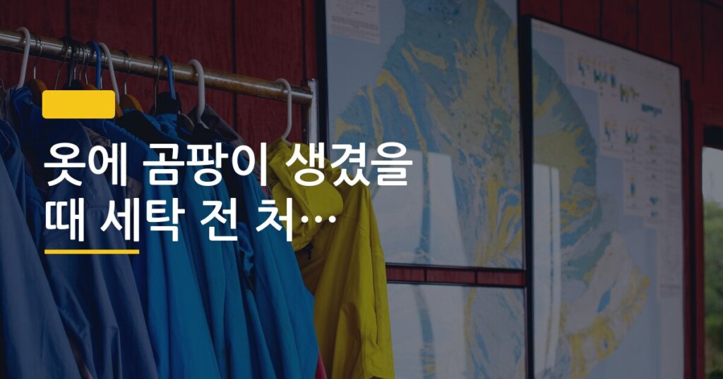 옷에 곰팡이 생겼을 때 세탁 전 처리 방법 정리