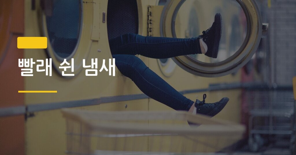 빨래 쉰 냄새, 세탁기 돌렸는데 왜 더 냄새 나는 걸까