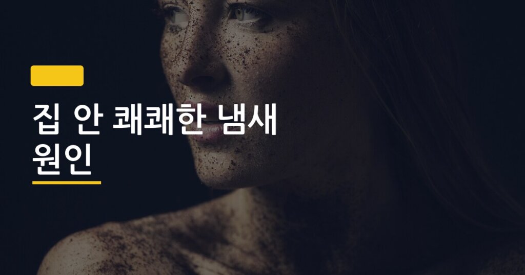 집 안 쾌쾌한 냄새 원인, 5가지 정확히 짚고 오늘 바로 없애는 법